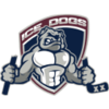 Sydney Ice Dogs