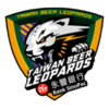 Taiwan Beer Leopards