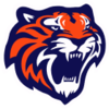 Tigres de Quintana Roo