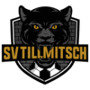 Tillmitsch