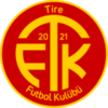 Tire 2021