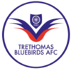 Trethomas Bluebirds