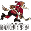 Tucson Roadrunners