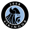 Vikingur Gota 2
