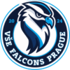 VSE Falcons Prague