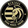 Wenzhou U20
