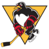 Wilkes-Barre/Scranton Penguins