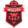 Wollongong Wolves