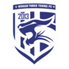 Wuhan Three Towns U20